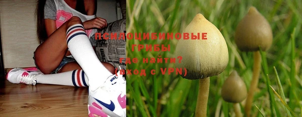 MESCALINE Алзамай
