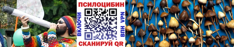 дарнет шоп mega вход Псилоцибиновые грибы MAGIC MUSHROOMS Мураши